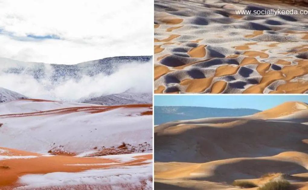 Snow Falls Across Sahara Desert in Rare Weather Occurrence; Pictures go Viral on Social Media