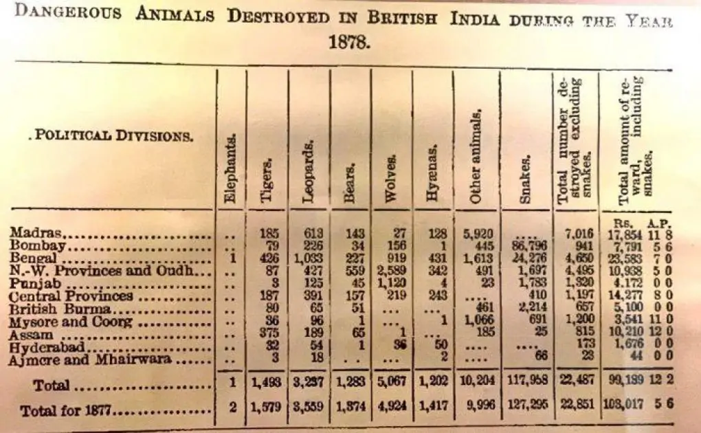 British Government Officially Killed 1579 Tigers for ‘Fun’, See Staggering Figures of Animals Killed by British Raj in Year 1878