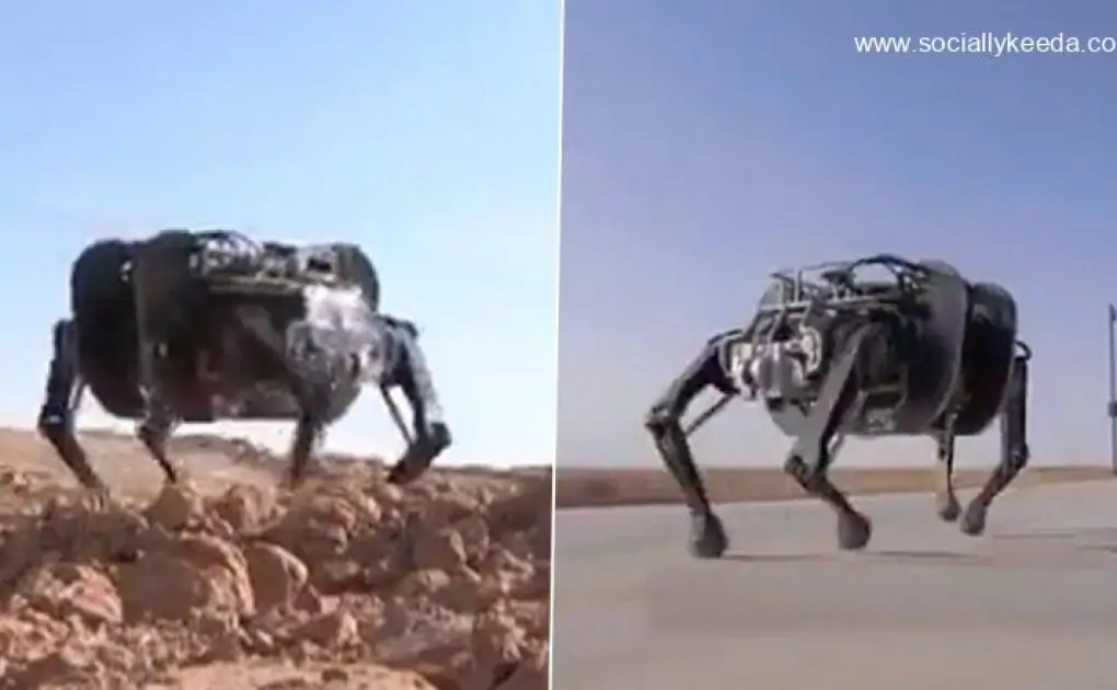 It's Viral! China Builds 'Mechanical Yak', World’s Largest And Heaviest Quadruped Bionic Robot (Watch Video)