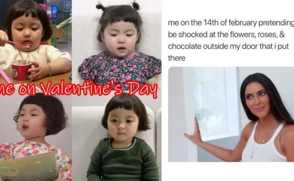 Happy Valentine's Day 2023 Funny Memes & Jokes: From 'Surprising YOURSELF With Flowers' to 'Throwing Rocks at Couples', Check out Hilarious Posts to Celebrate Single Life on February 14
