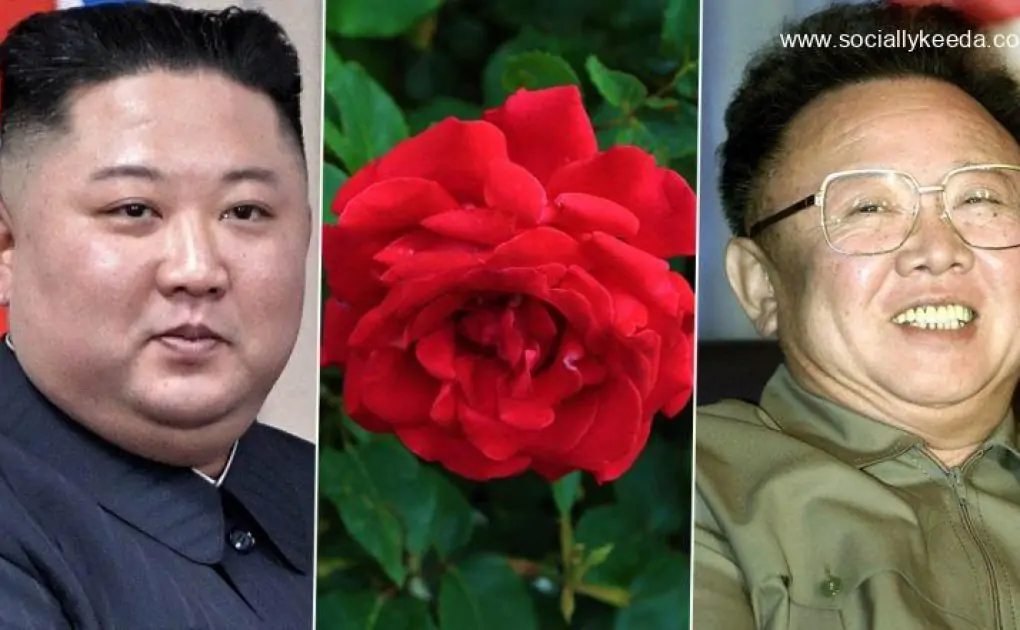Kim Jong-un Sends Gardeners to Labour Camp for Failing To Make ‘Kimjongilia’ Flowers Bloom for Father’s Birthday