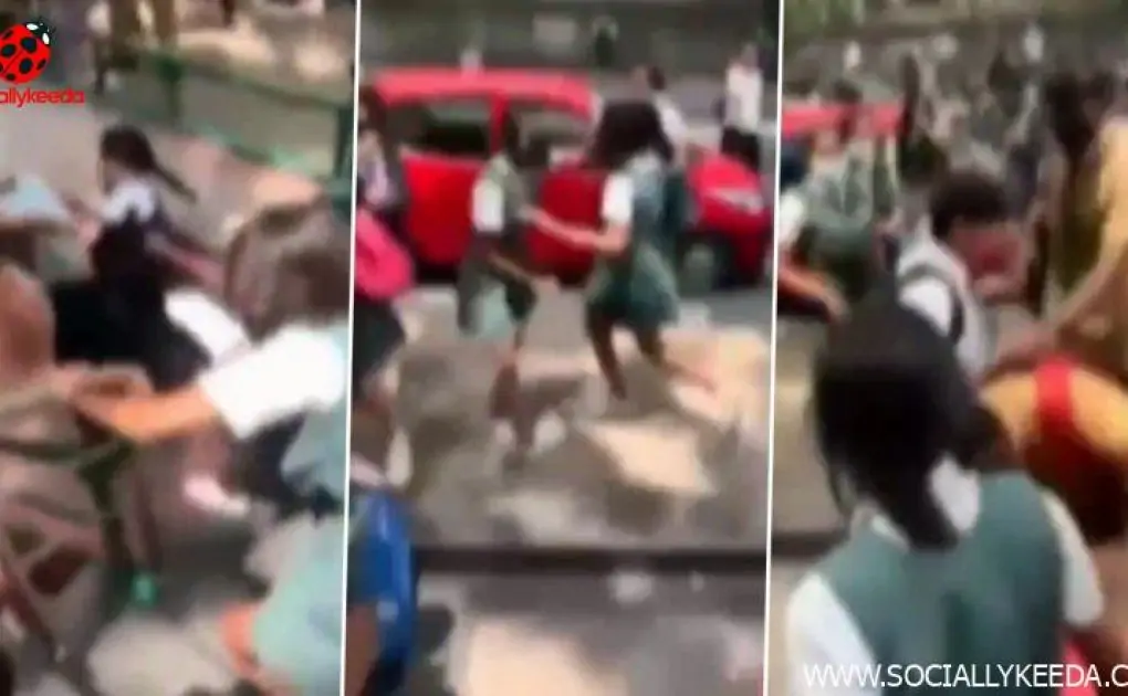 Karnataka: Bengaluru School Girl Students Indulge in Street Fight Over Boyfriend, Video Goes Viral