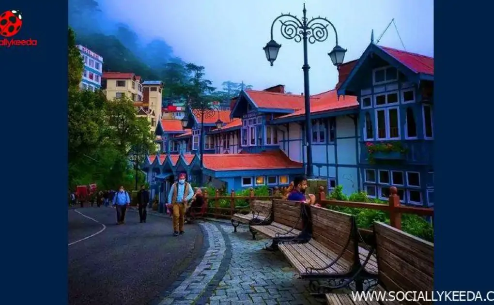 Spectacular Photo of 'Green Shimla' Goes Viral on Twitter; Picture Shows Beauty of Incredible India
