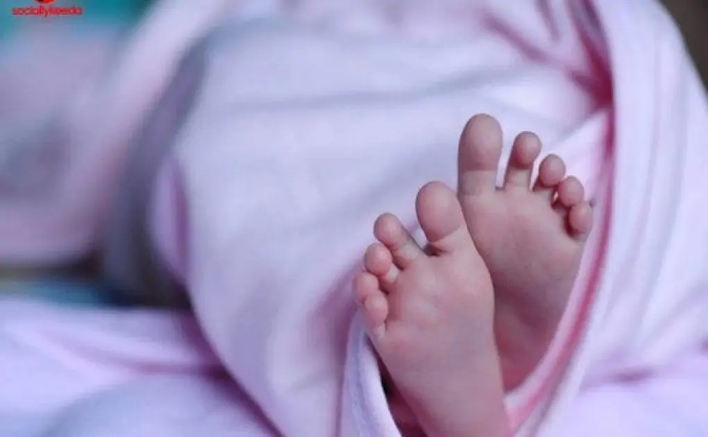 Punjab: Woman Gives Birth to a Baby on Government Bus Near Phagwara, Fellow Passenger Helps With Delivery