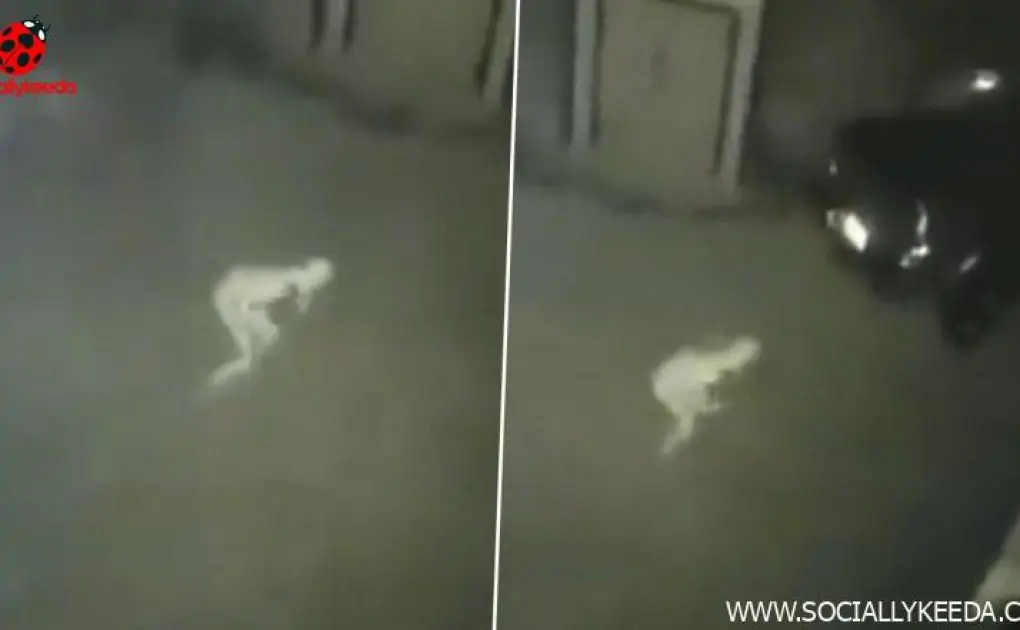 Real Ghost Caught on Camera? Mysterious Pale Lanky Figure In This Creepy Viral Video Leaves Paranormal Enthusiasts Puzzled