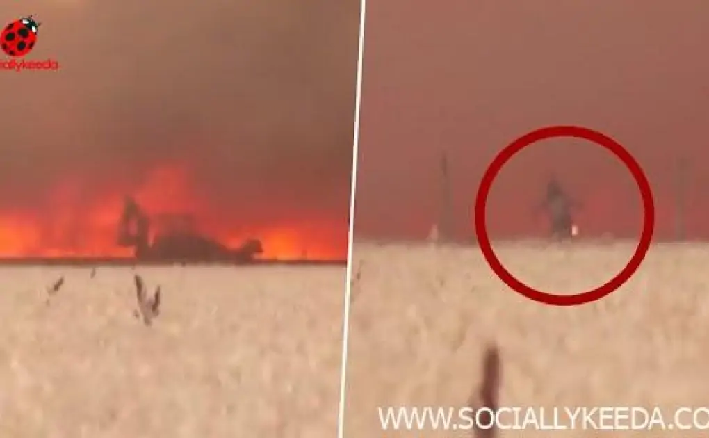 Spain: Man Miraculously Escapes After Wildfire Engulfs Tractor, Suffers Serious Injuries (Watch Video)