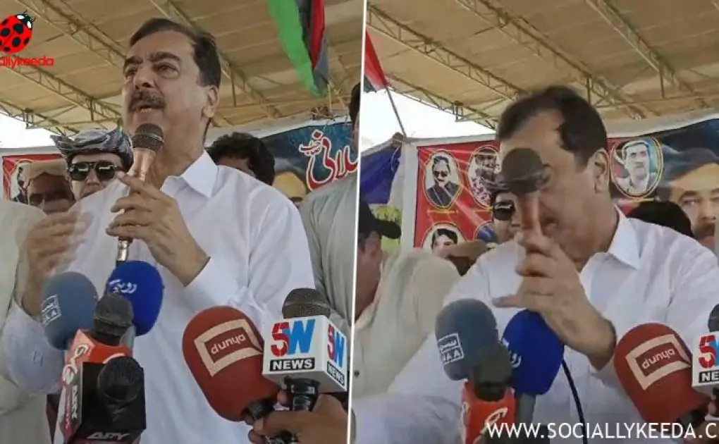 Video: Stage Collapses During Former Pakistan PM Yusuf Raza Gilani's Speech