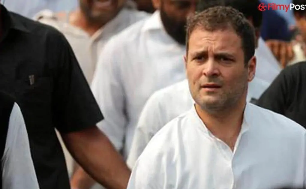 Read What He Stated About Rahul Gandhi