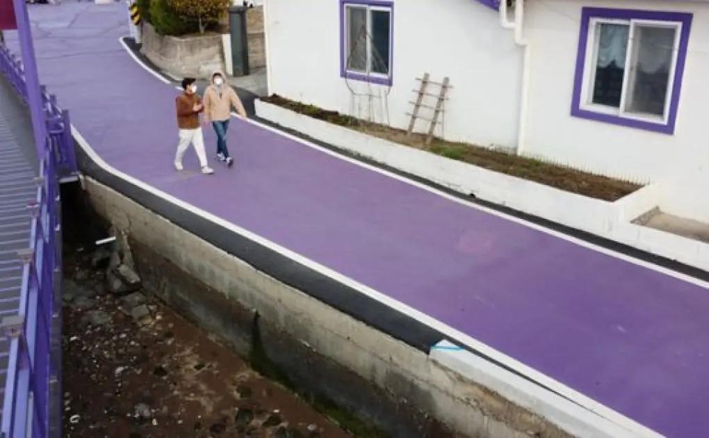 Photos: Drenched in purple, South Korean islands draw tourists