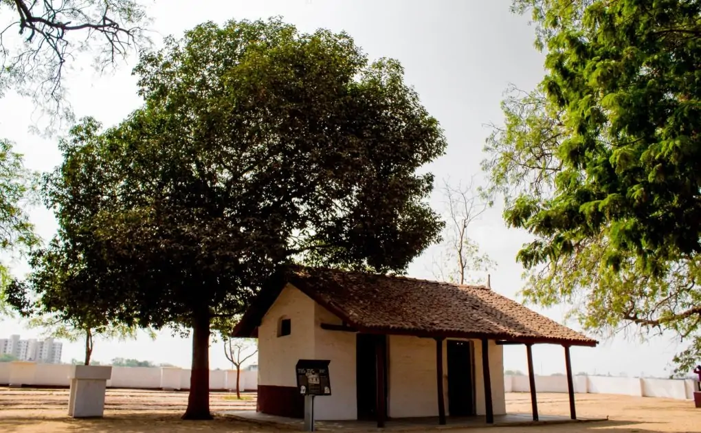 white and brown house under tree