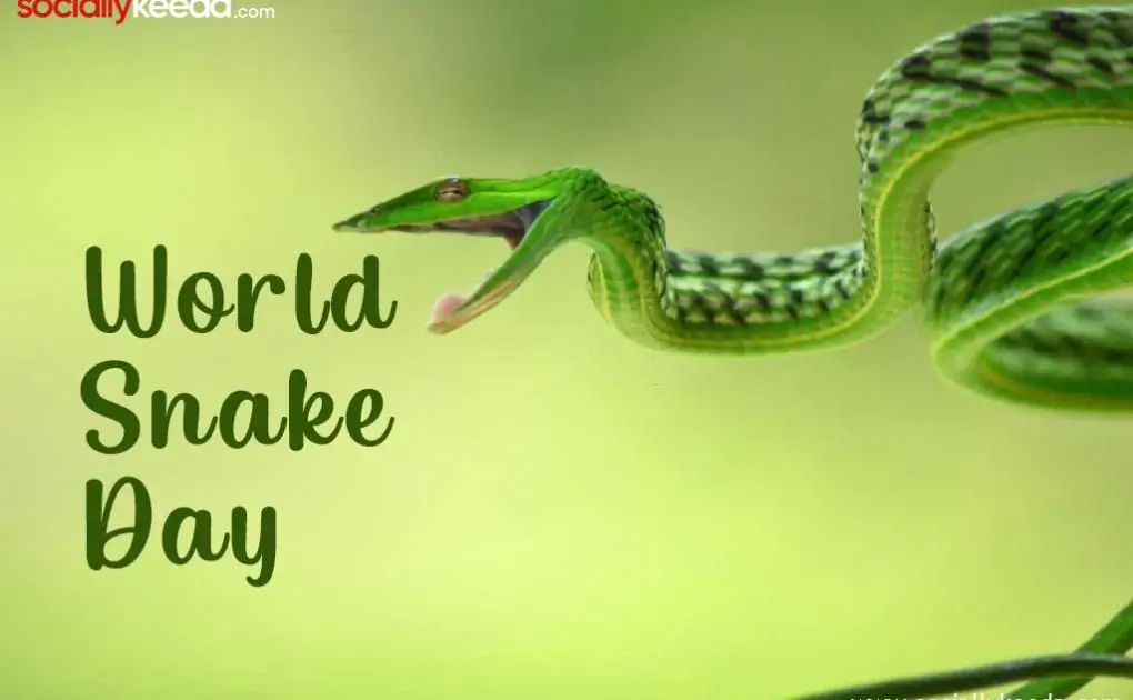 World Snake Day 2024 Quotes, Images, Status, Meme, and WhatsApp Status Video to Download