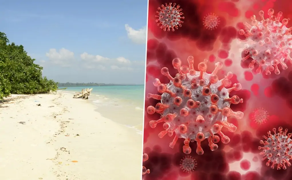 Drug-Resistant 'Superbug' Candida Auris, Found For The 1st Time in The Wild in India's Andaman Islands, Can Lead to Pandemic