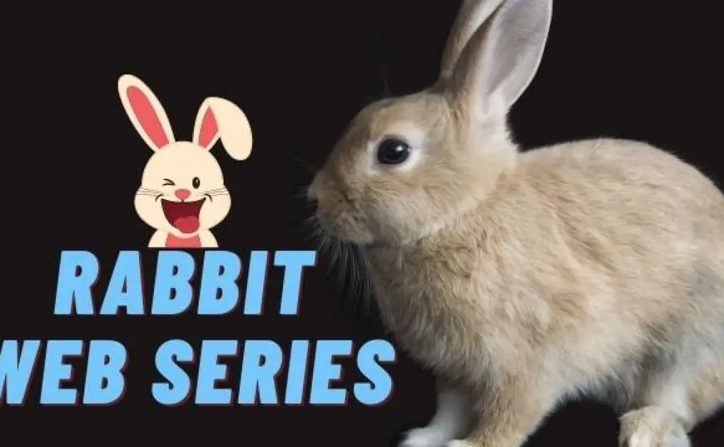 Rabbit all web series download Hindi filmyzilla, moviesflix