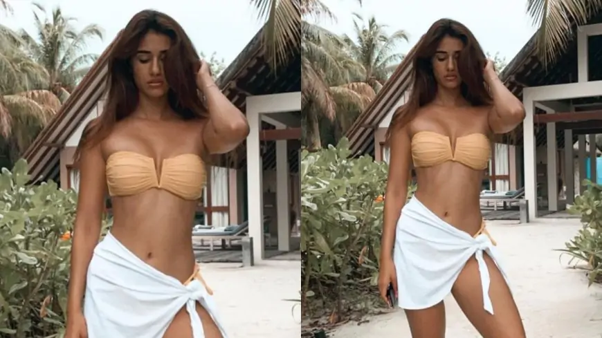 Disha Patani Is a Complete Bombshell As She Poses in Swimwear (View Pic)
