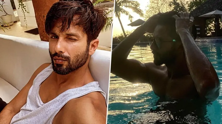 Shahid Kapoor Beats the Heat, As He Takes a Dip in the Pool (View Pic)