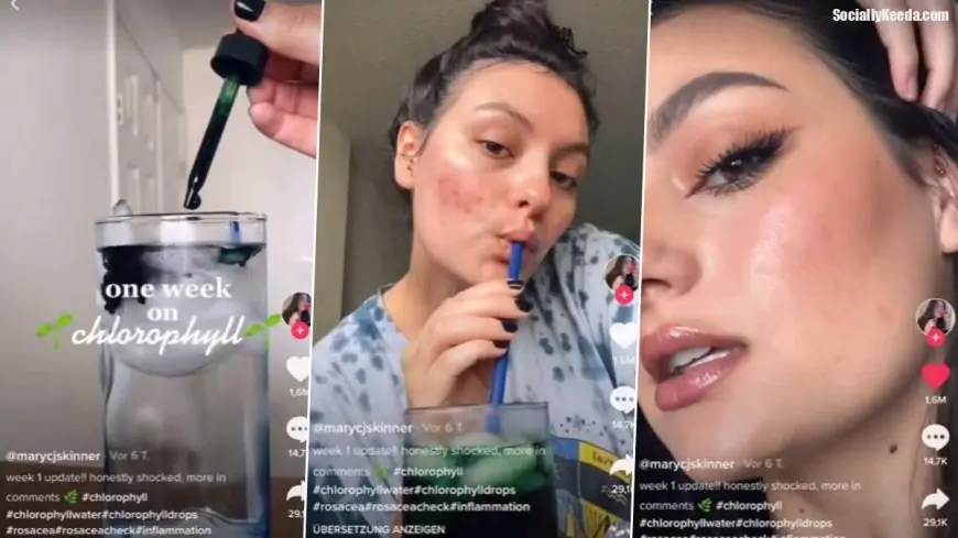 Chlorophyll Water to Reduce Acne Is the Recent Viral Beauty Trend BUT Does It Work? From Health Benefits to Side-Effects, Everything You Should Know Of!