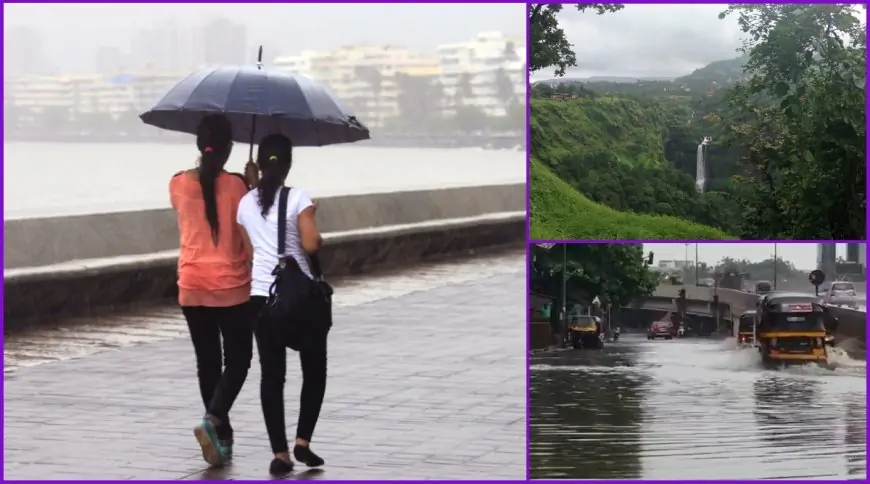 Monsoon 2021 Forecast: From Goa, Maharashtra to Karnataka, Here's When Monsoon Is Expected In These States
