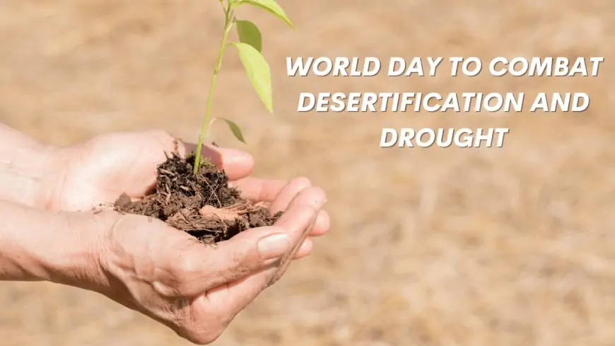 World Day to Combat Desertification and Drought 2021 Quotes, and Messages to Create Awareness