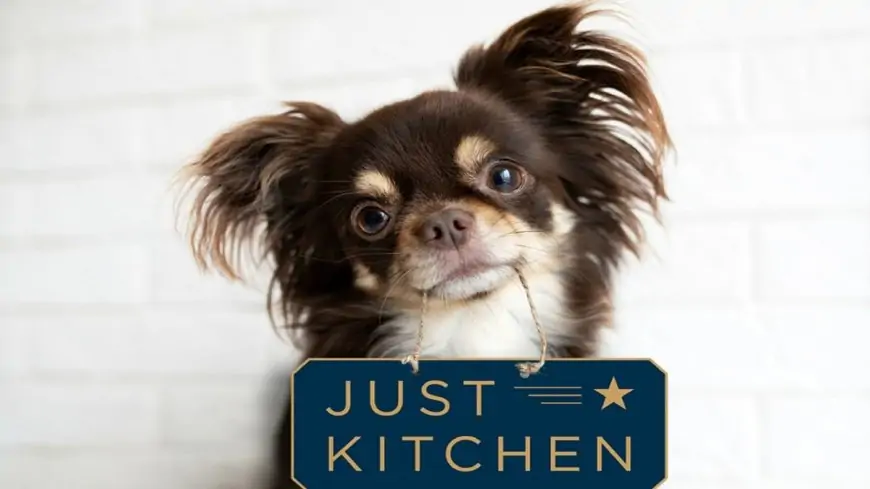 SimplyKitchen Disrupts Industry With Ghost-Kitchen Deliveries for Pets