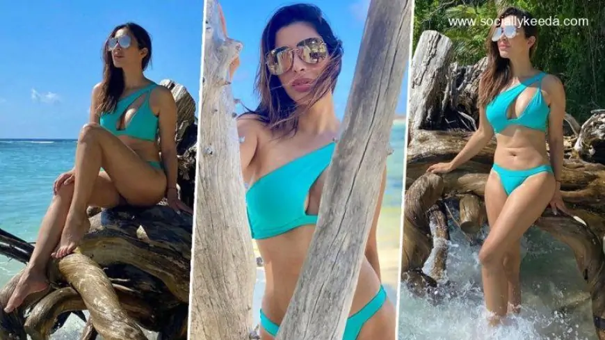 Sophie Choudry Flaunts Her Curves In A One Shoulder Bikini Swimsuit In These Throwback Pics From Her Maldivian Vacay