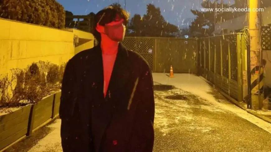 BTS' V aka Kim Taehyung is Enjoying the Twilight Snowfall, Shares Pic in Long Black Coat (View Pic)