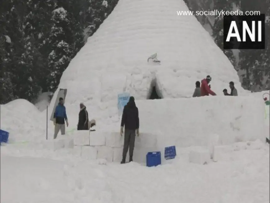 Igloo Cafe in Jammu and Kashmir's Gulmarg Becomes New Tourist Attraction (View Pics & Video)