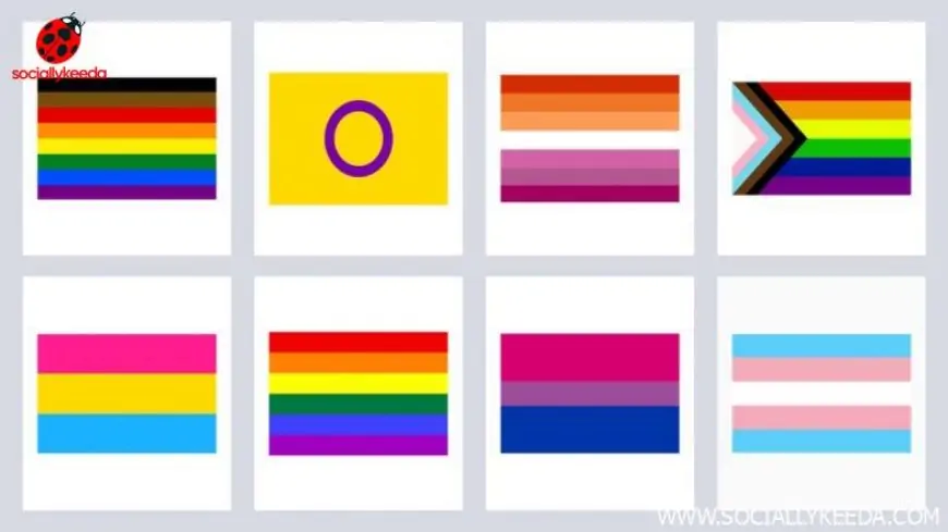 LGBTQ+ Flags and Their Meanings: In June Pride Month 2023, Here’s A Complete Guide to the Queer Flags, Colours and What They Mean