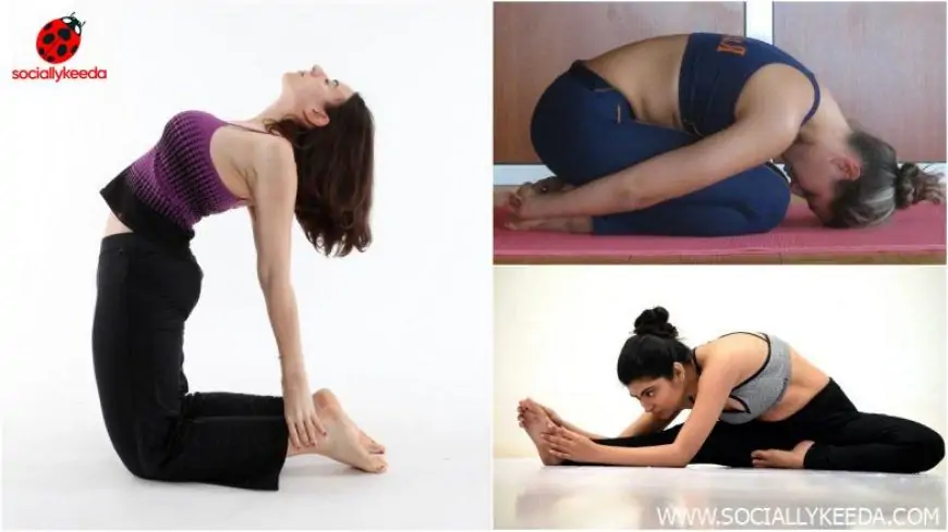 International Yoga Day 2023: Say Goodbye to Menstrual Cramps With These 5 Easy Yoga Poses