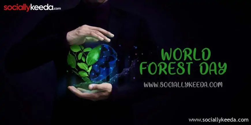 Celebrating World Forest Day: Quotes, Wishes, Poster, Theme (2023)