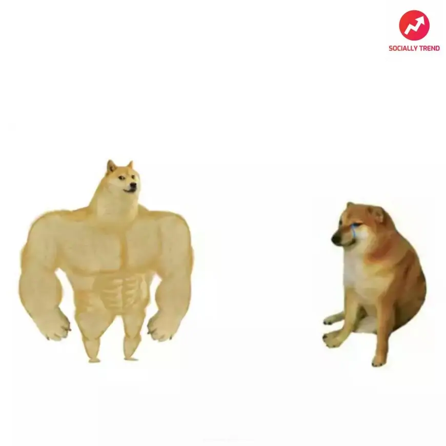 Buffed doge Vs Cheems | SociallyKeeda