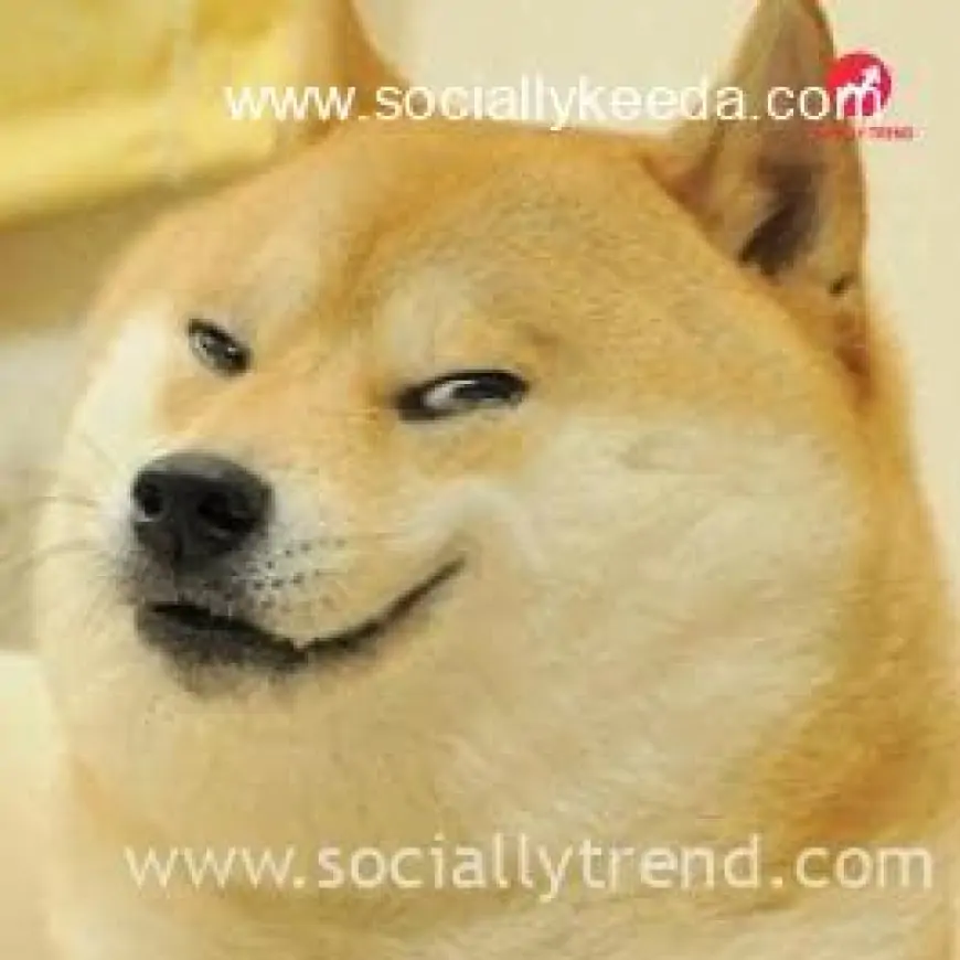 Evil Doge | SociallyKeeda