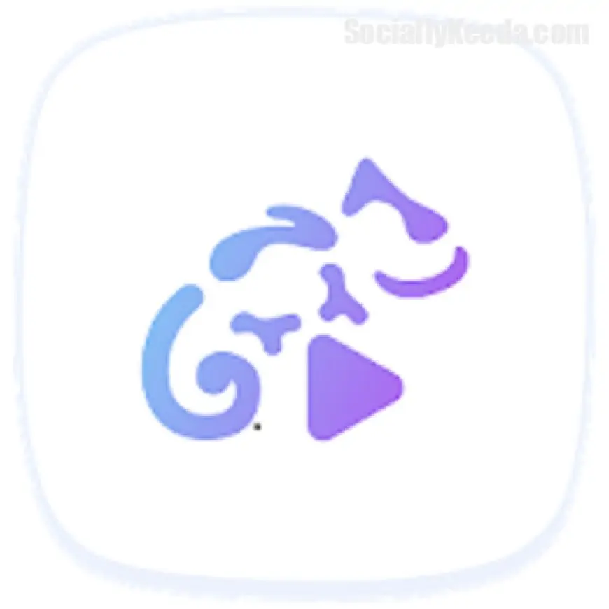 Stellio Player v6.2.13 [Premium Mod] APK [Latest]