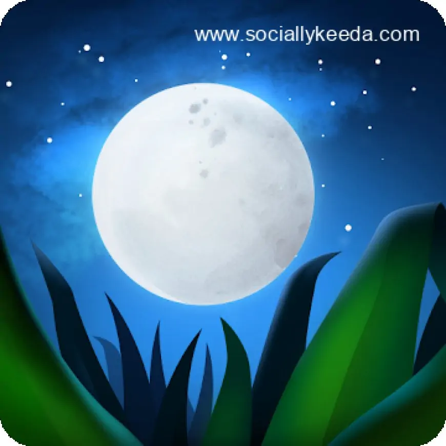 Relax Melodies: Sleep Sounds v20.3 [Premium] [Mod] APK [Latest]