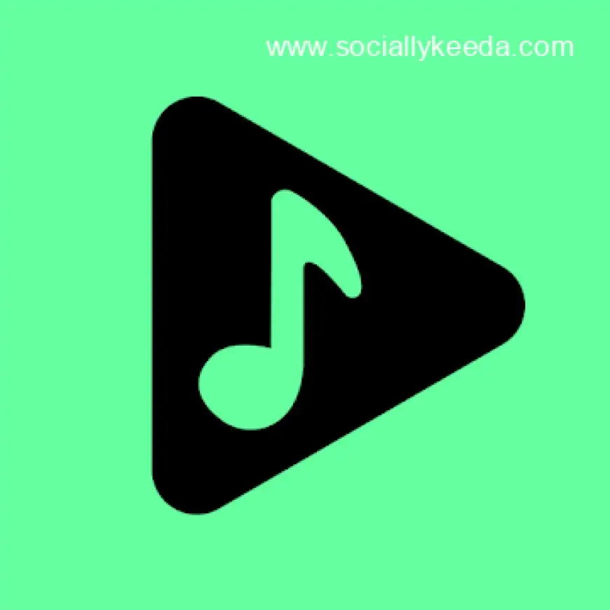 Musicolet Music Player v6.0.1 build314 [Pro] APK [Latest]