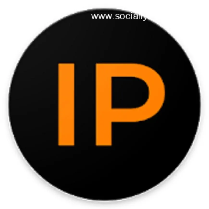 IP Tools: WiFi Analyzer v8.25 build 353 [Premium] MOD APK [Latest]