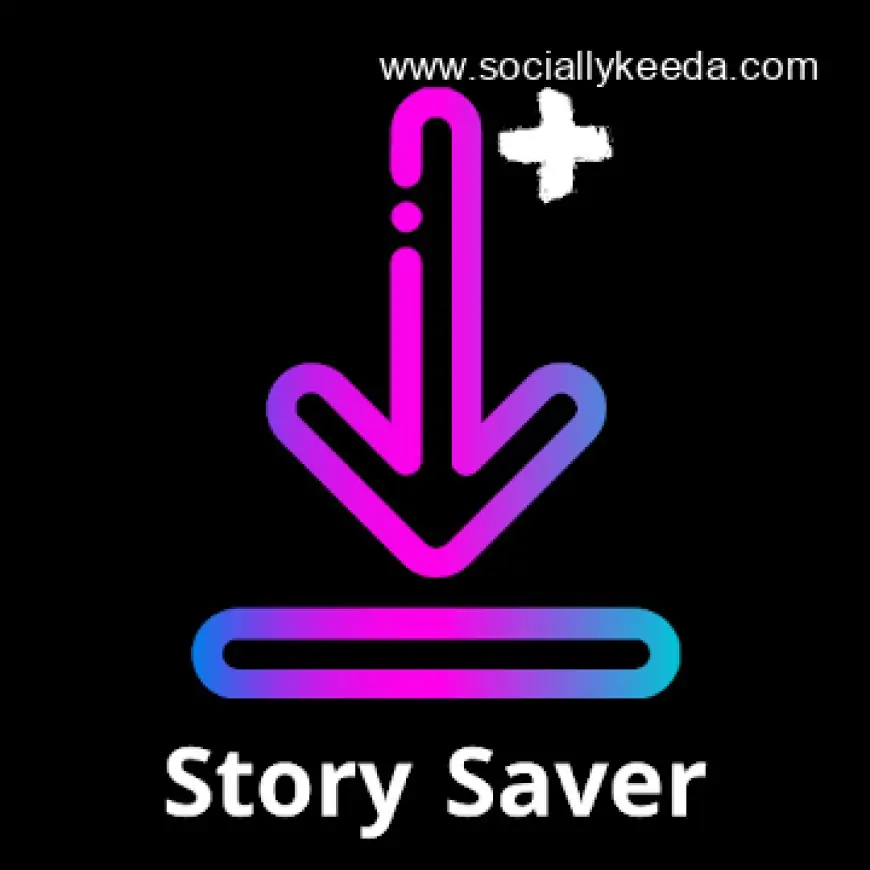 Video Downloader and Stories v2.2.5 [Pro] APK [Latest]