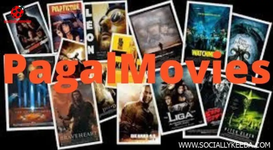 Download HD Bollywood And Hollywood Movies 2023