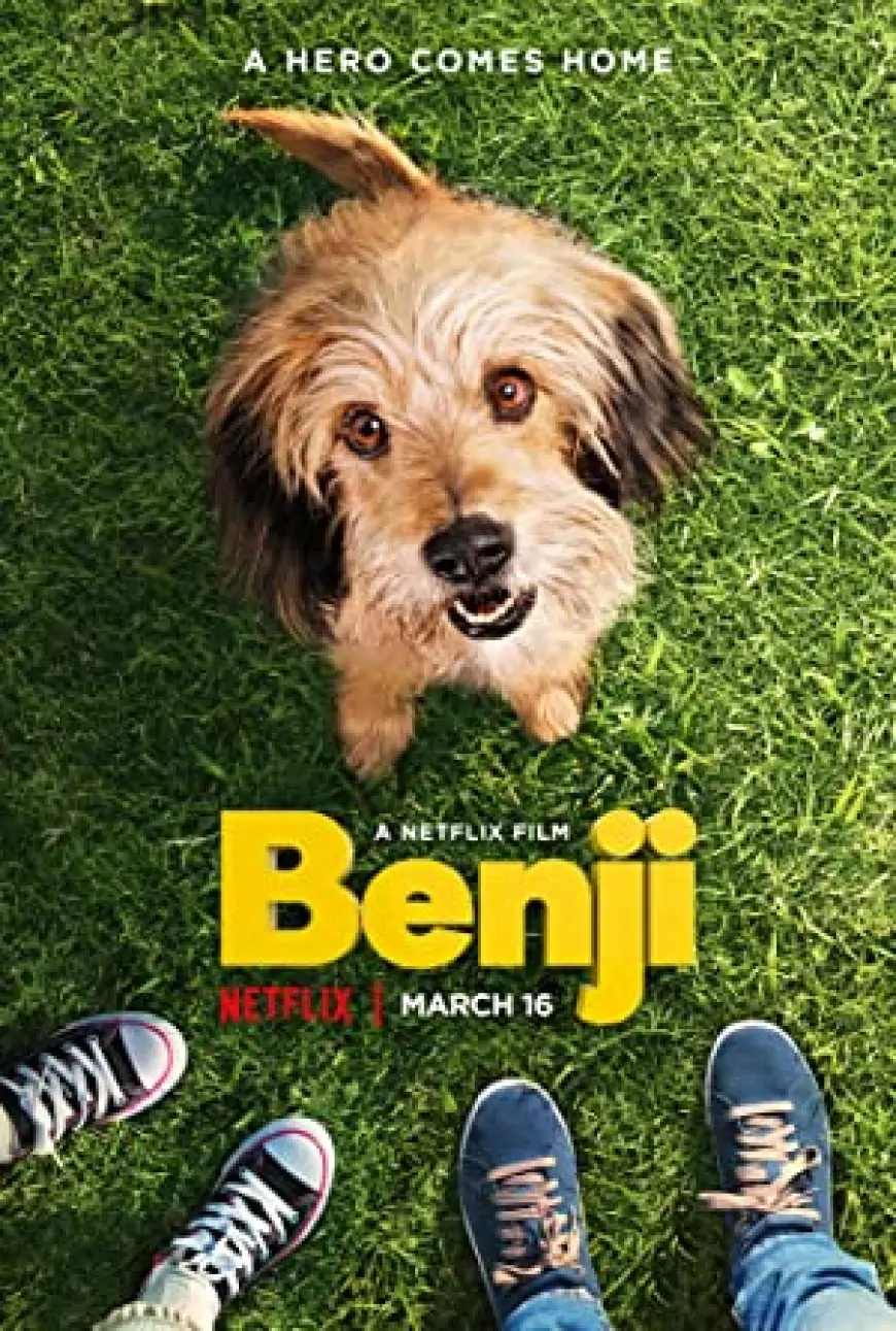 Benji (2018) Dual Audio [Hindi-English] Movie Download | 480p [300MB] | 720p [900MB]
