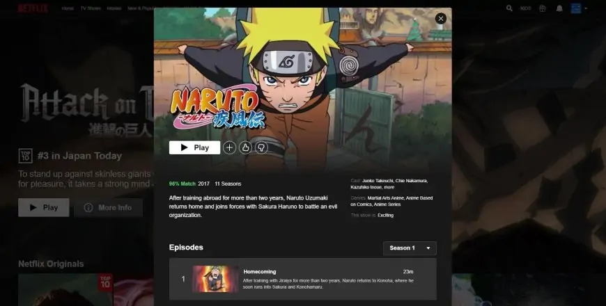 How to Watch Naruto Shippuden Worldwide on Netflix – Watch Movies Online