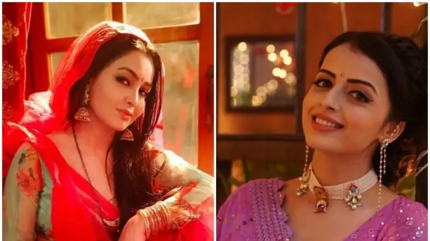 Shubhangi Atre to Shrenu Parikh, TV Stars Share Their Best Moments From 2021 and Goals for 2023