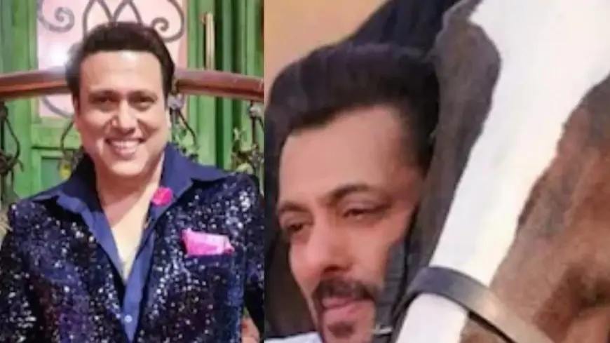 Govinda Turns Off Comments After Brutal Trolling; Salman Khan Files Defamation Suit Against Panvel Farmhouse Neighbour