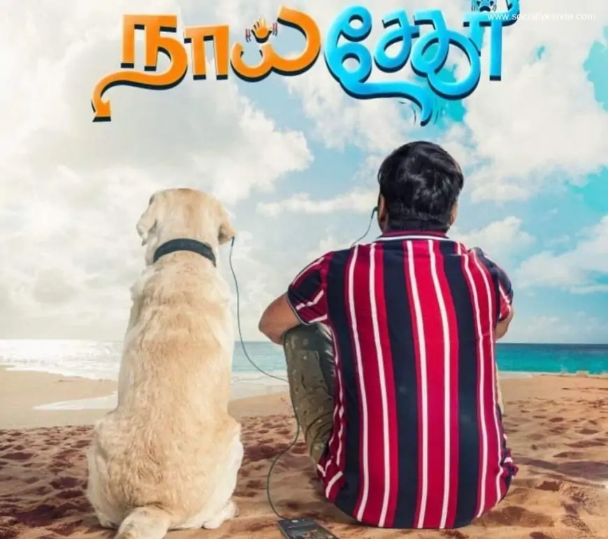 Download Sew Sekar in HD from Tamilrockers – Socially Keeda