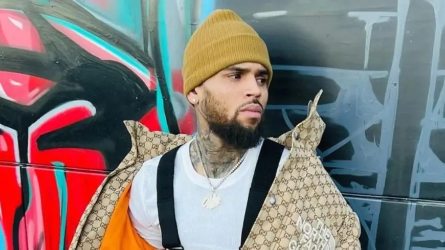 Chris Brown Accused Of Drugging, Raping Woman On Yacht; Musician Reacts
