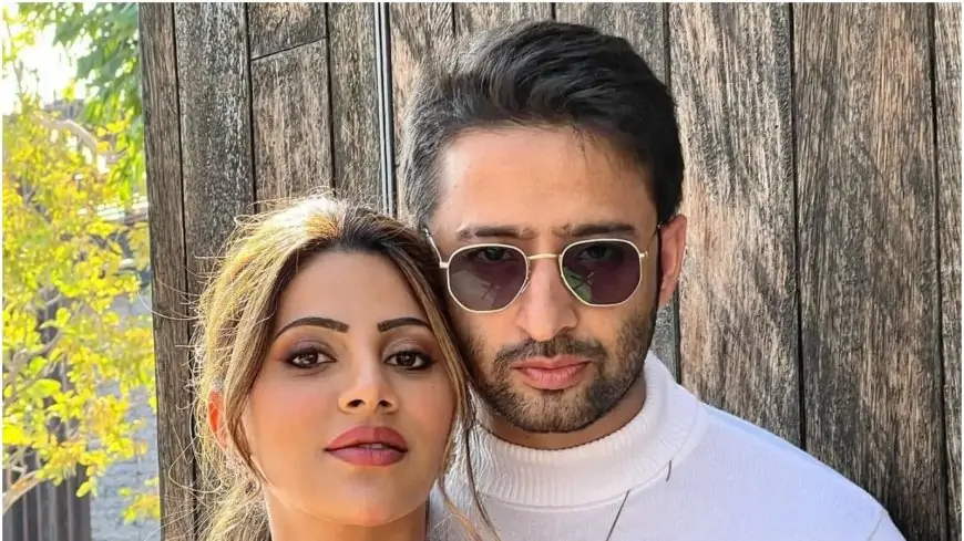 Shaheer Sheikh and Nikki Tamboli Look Hotness Overloaded As They Come Together For a Music Video