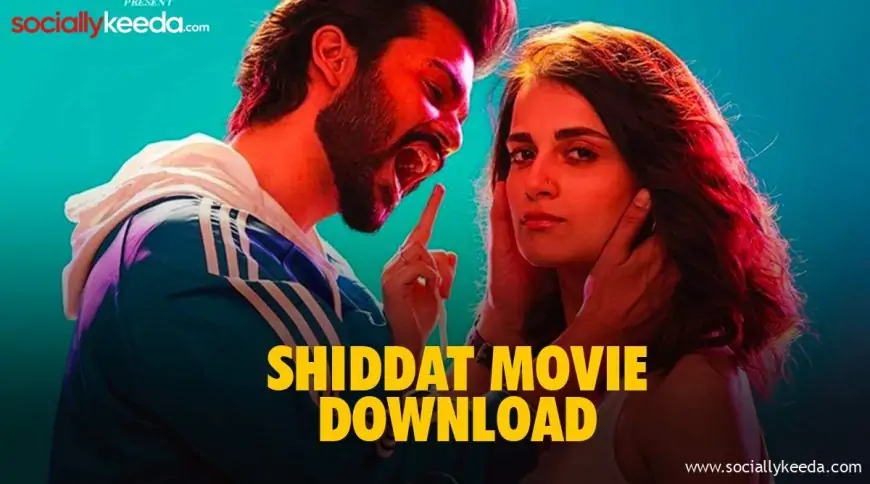 Shiddat Movie Download Pagalworld Full HD, 480p, 720p 1080p