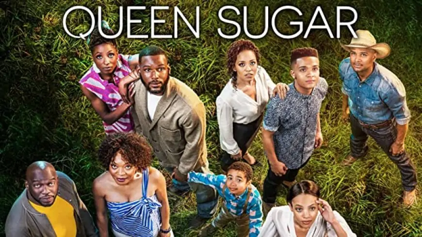 Watch Online Queen Sugar Season 5 Episode 9 Release Date Cast Review All Episodes And Teaser