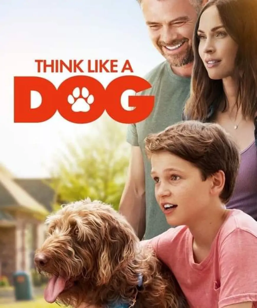 Think Like A Dog Full Movie Download Link Leaked By Filmywap, Filmywap 2021, Filmyzilla 2021, Hdfriday, Isaimini 2021 » sociallykeeda