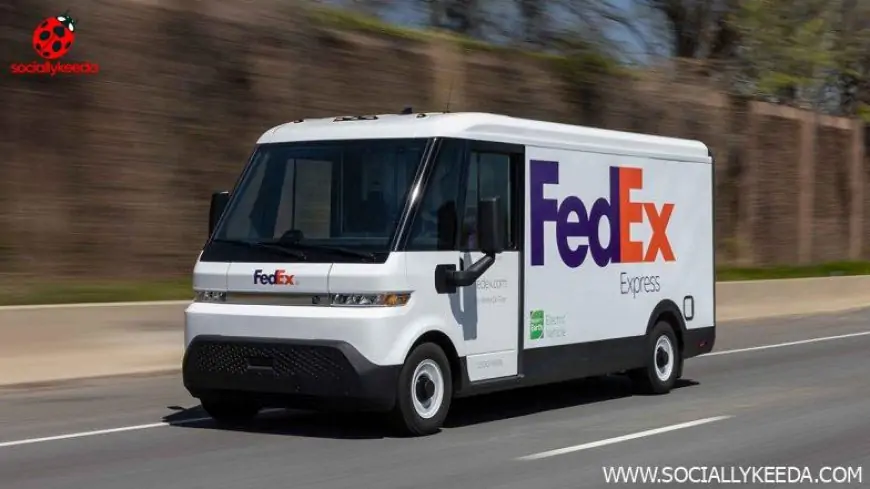 Florida Man Receiving Oral Sex Crashes Head-On Into FedEx Truck – SociallyKeeda