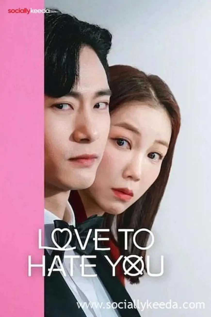 Download Love to Hate You (Season 1) Dual Audio NetFlix {Hindi-English-Korean}