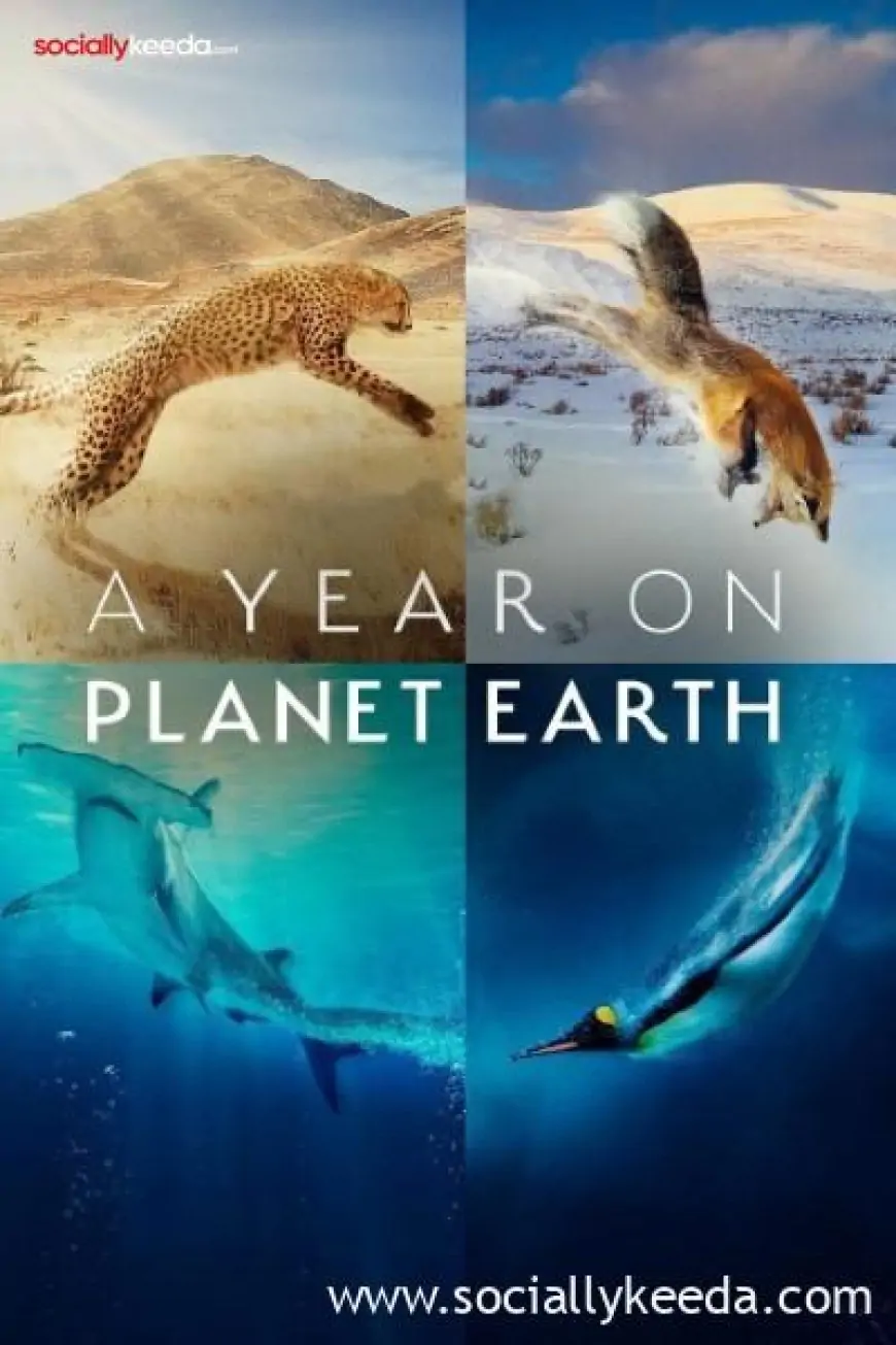 Download A Year on Planet Earth (Season 1) English Web Series 720p
